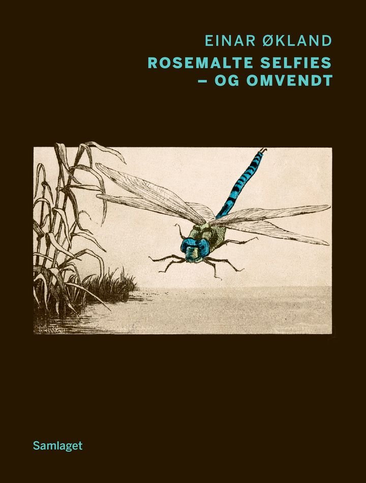 Rosemalte selfies - og omvendt - dikt