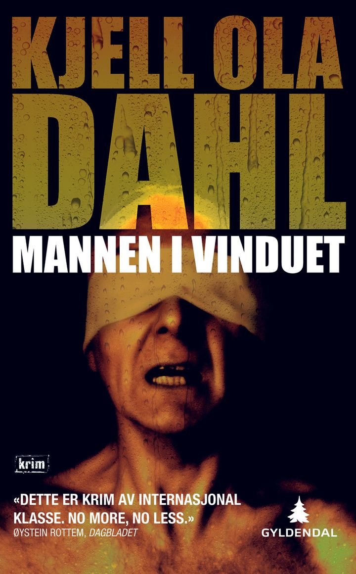 Mannen i vinduet - kriminalroman