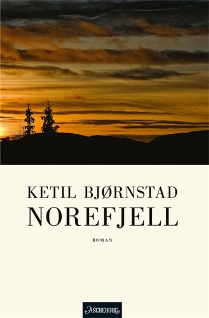 Norefjell - roman