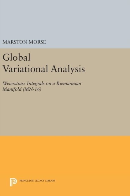 Global Variational Analysis – Weierstrass Integrals on a Riemannian Manifold