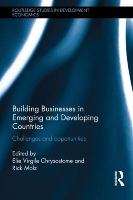 Building Businesses in Emerging and Developing Countries