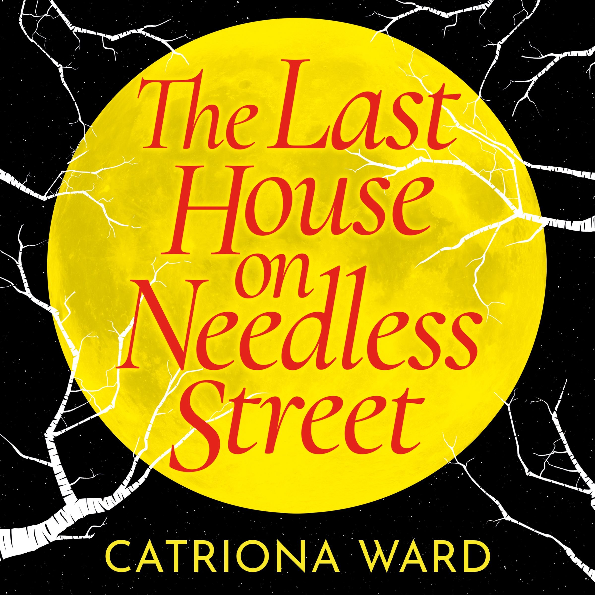 The Last House on Needless Street