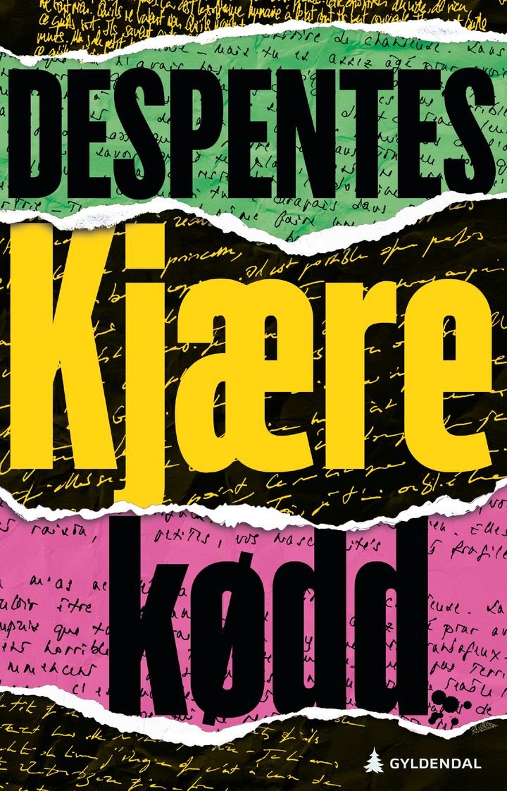 Kjære kødd - roman