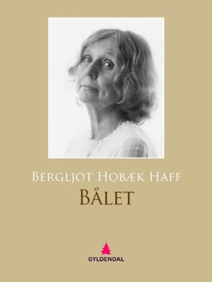 Bålet - roman