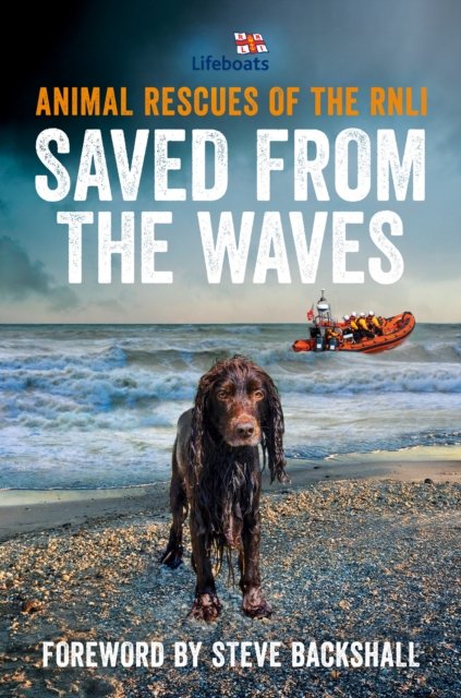 SAVED FROM WAVES PB