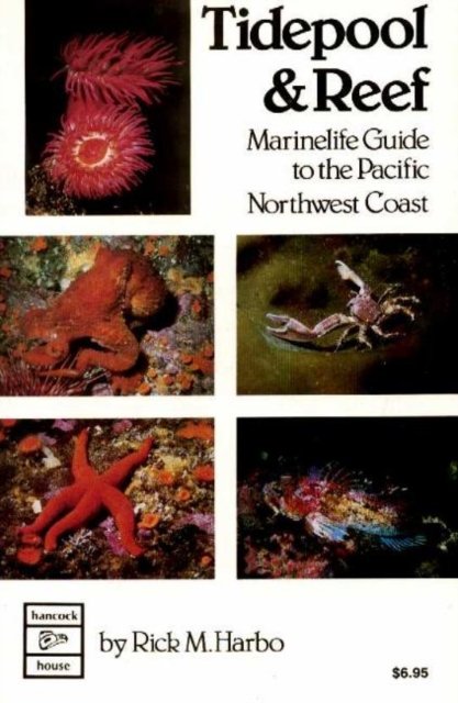 Tidepool & Reef