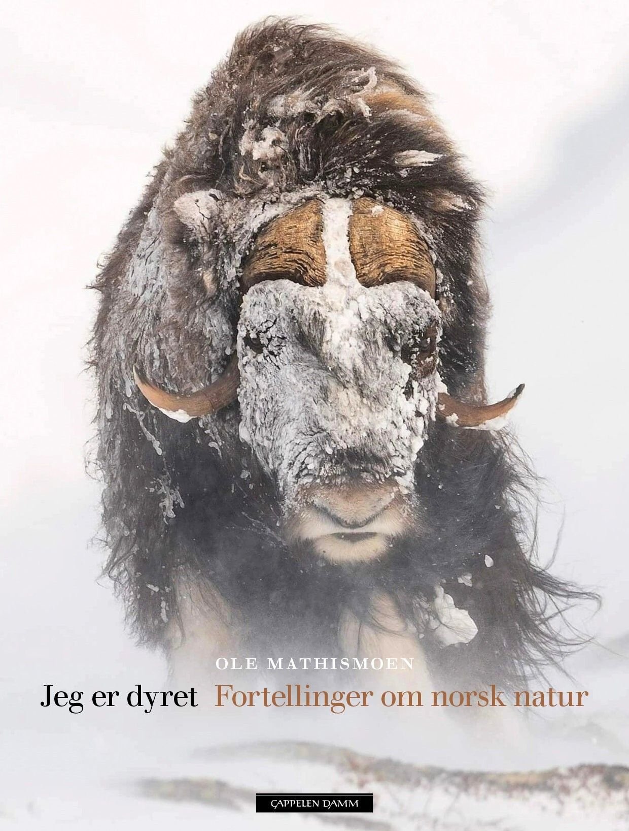 Jeg er dyret av Ole Mathismoen