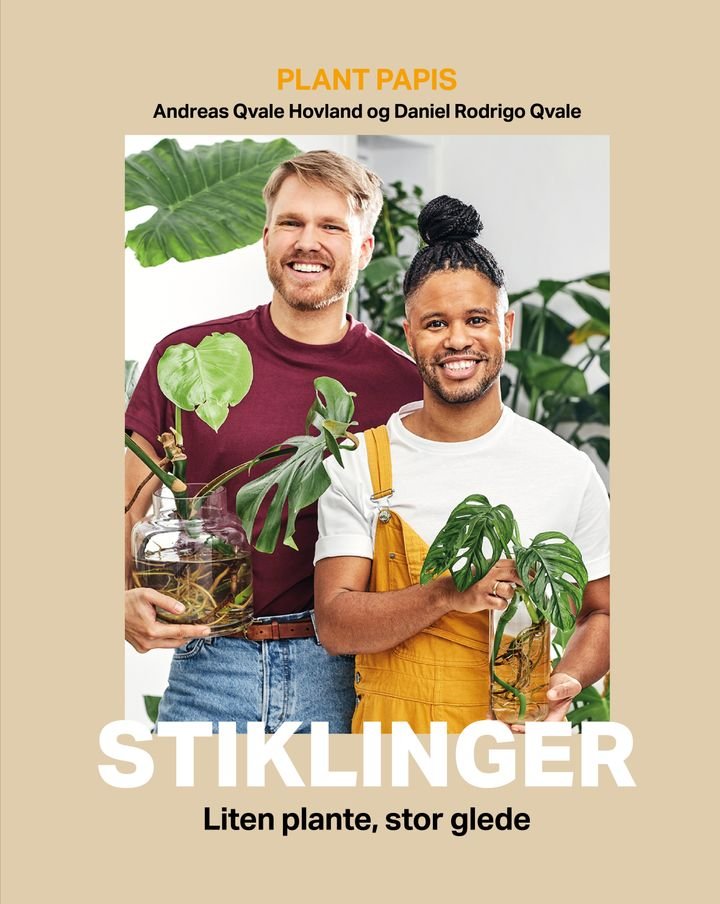 Stiklinger - liten plante, stor glede
