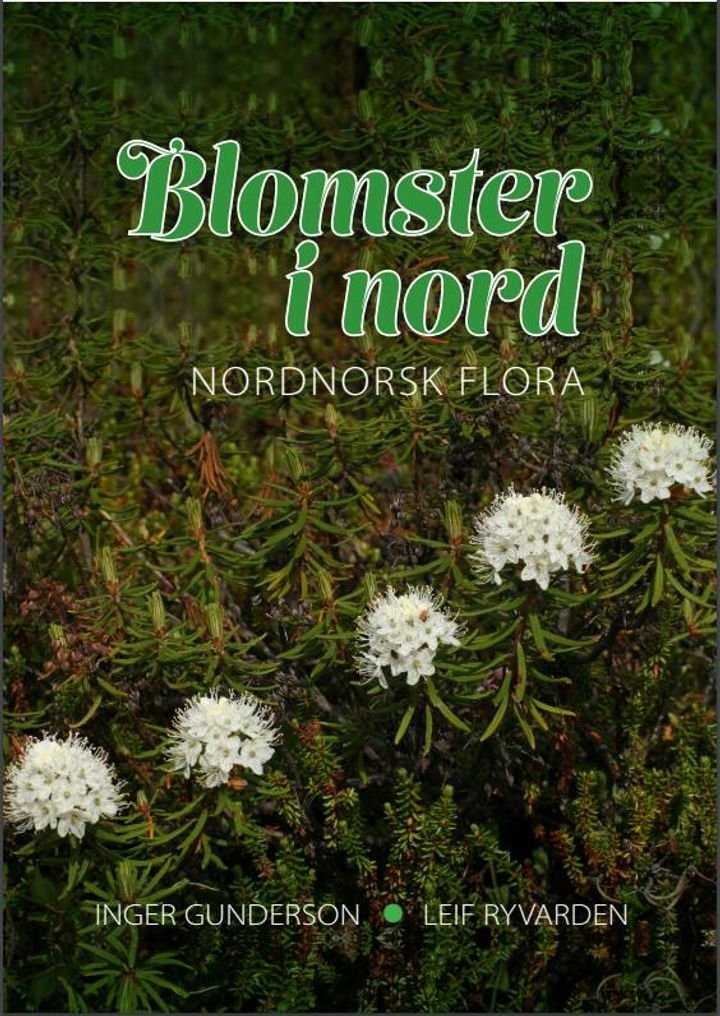 Blomster i nord - nordnorsk flora : høyere planter i Finnmark