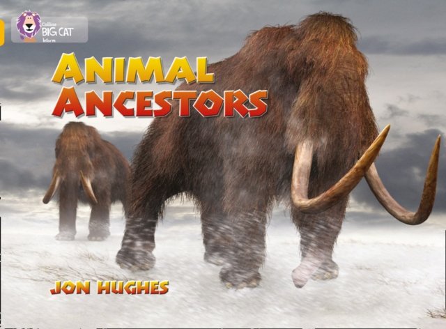 BIG CAT - ANIMAL ANCESTORS