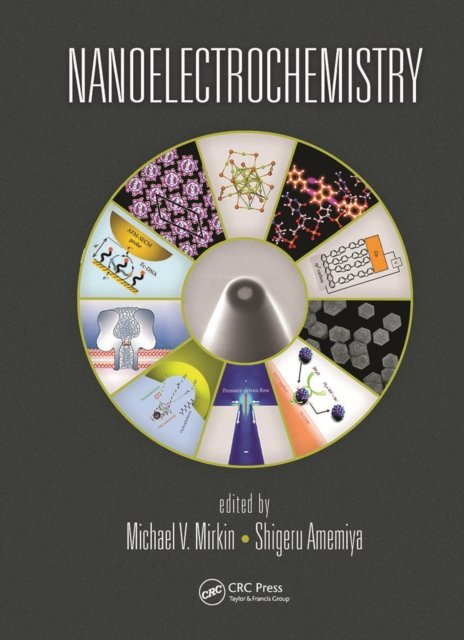Nanoelectrochemistry