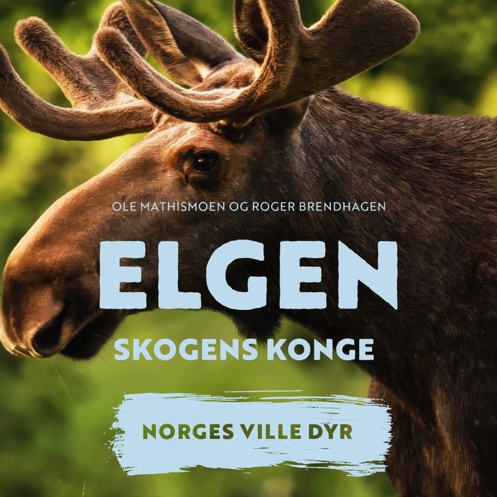 Elgen - skogens konge
