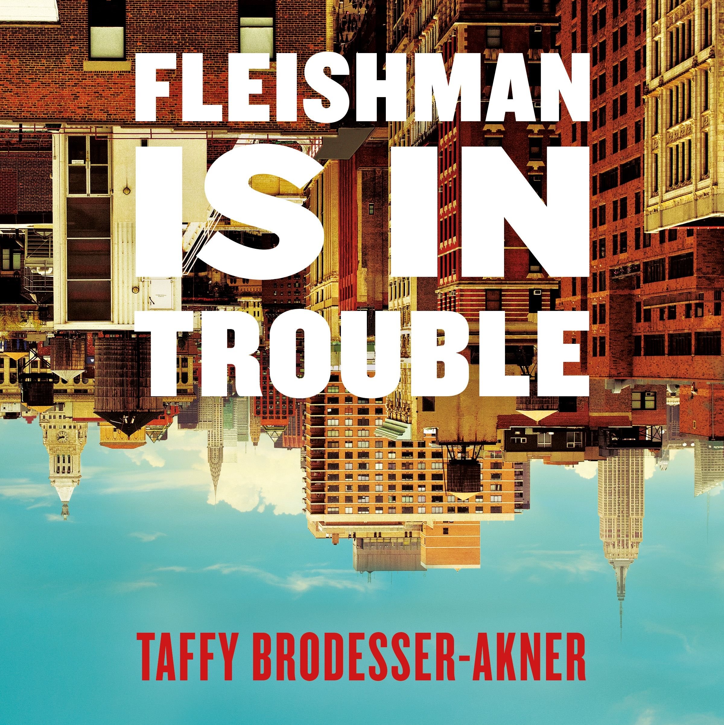 Fleishman is in Trouble