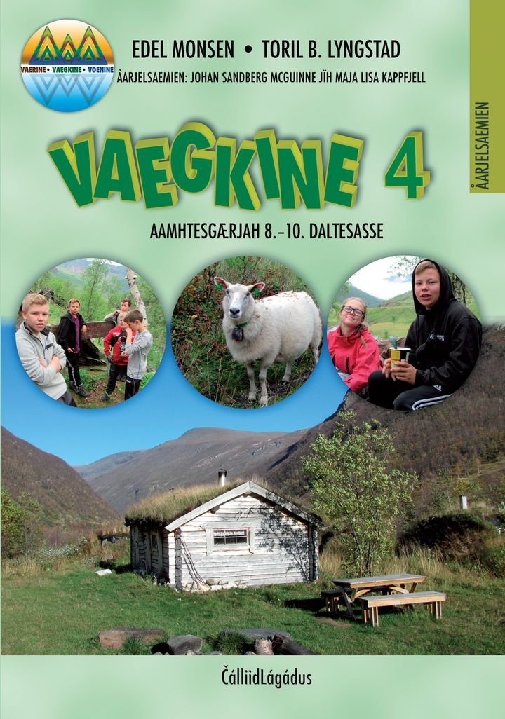 Vaegkine 4