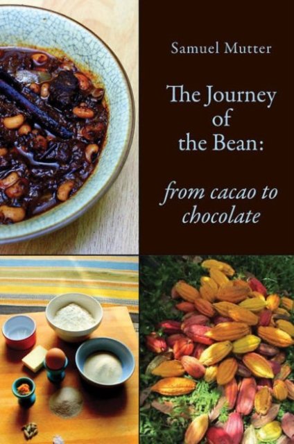 The Journey of the Bean