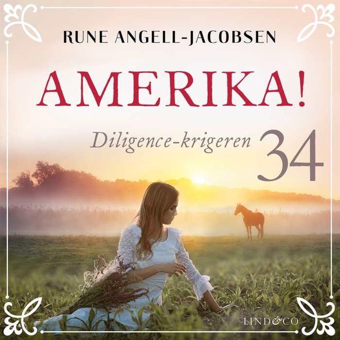Diligence-krigeren