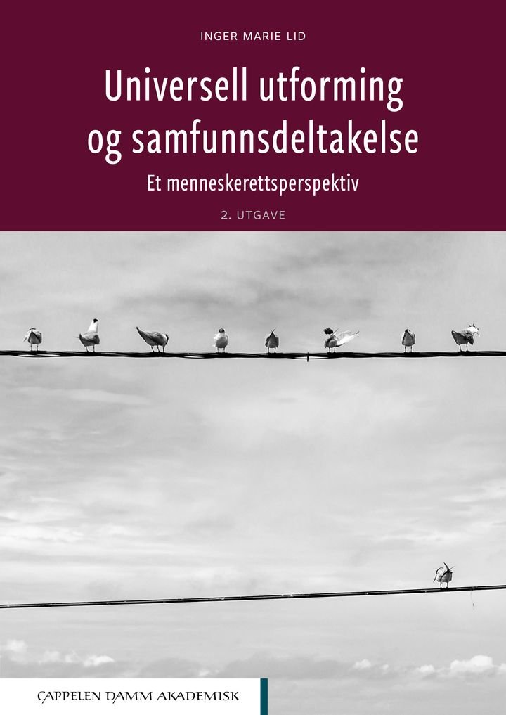 Universell utforming og samfunnsdeltakelse - et menneskerettsperspektiv