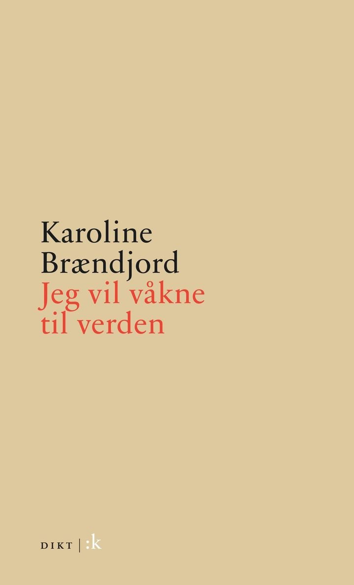 Jeg vil våkne til verden - dikt