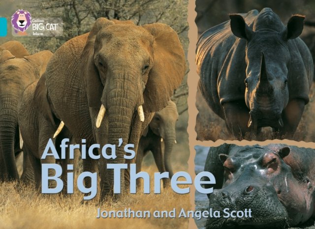 BIG CAT - AFRICAS BIG THREE