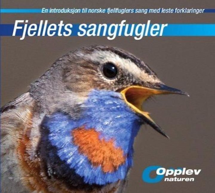 Fjellets sangfugler - en introduksjon til norske fjellfuglers sang med leste forklaringer