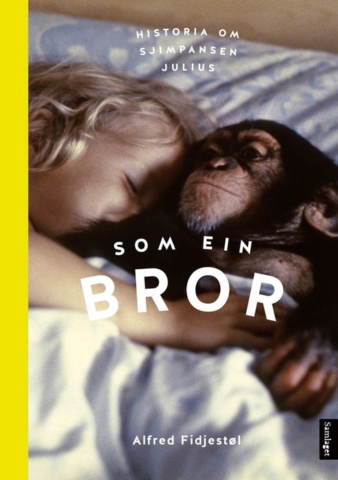 Som ein bror