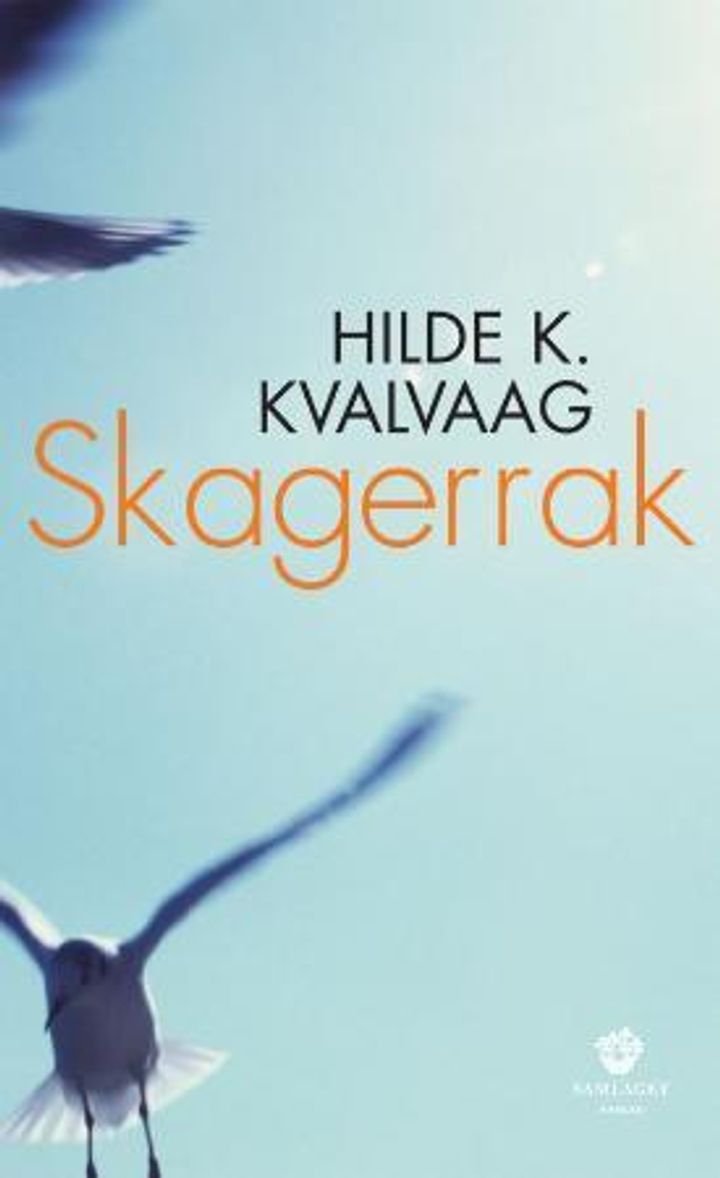 Skagerrak - roman