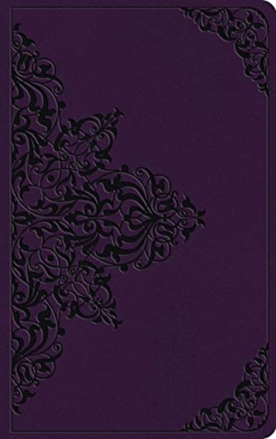 ESV Large Print Value Thinline Bible