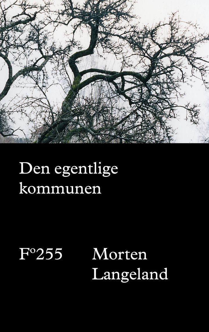 Den egentlige kommunen