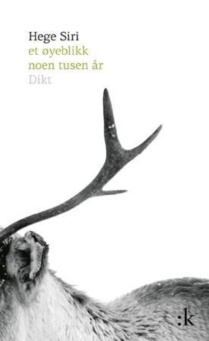 Et øyeblikk noen tusen år - dikt