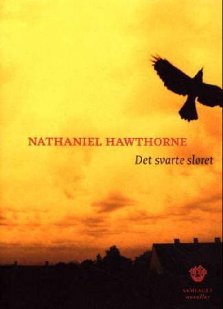Det svarte sløret - noveller