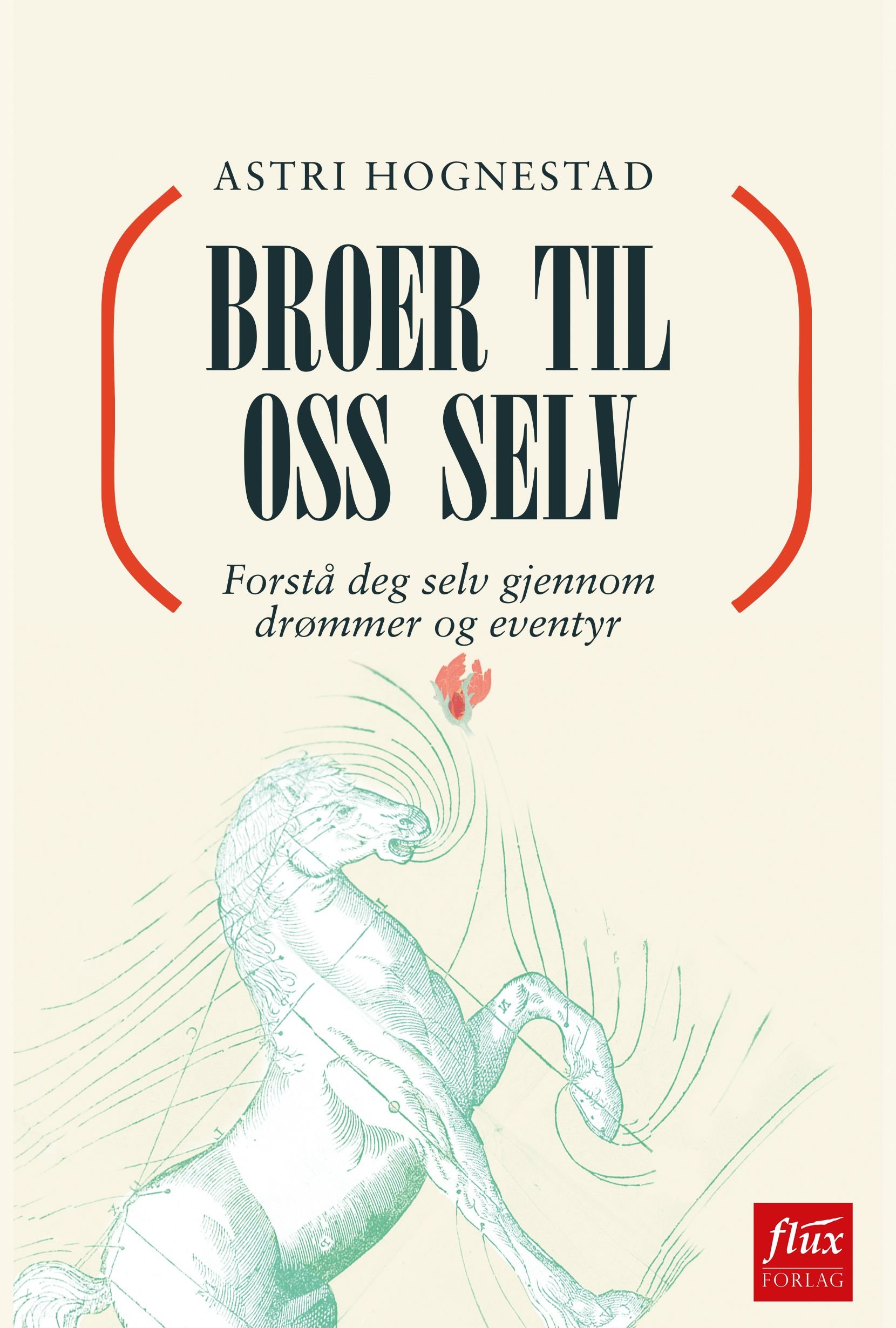 Broer til oss selv - forstå deg selv gjennom drømmer og eventyr