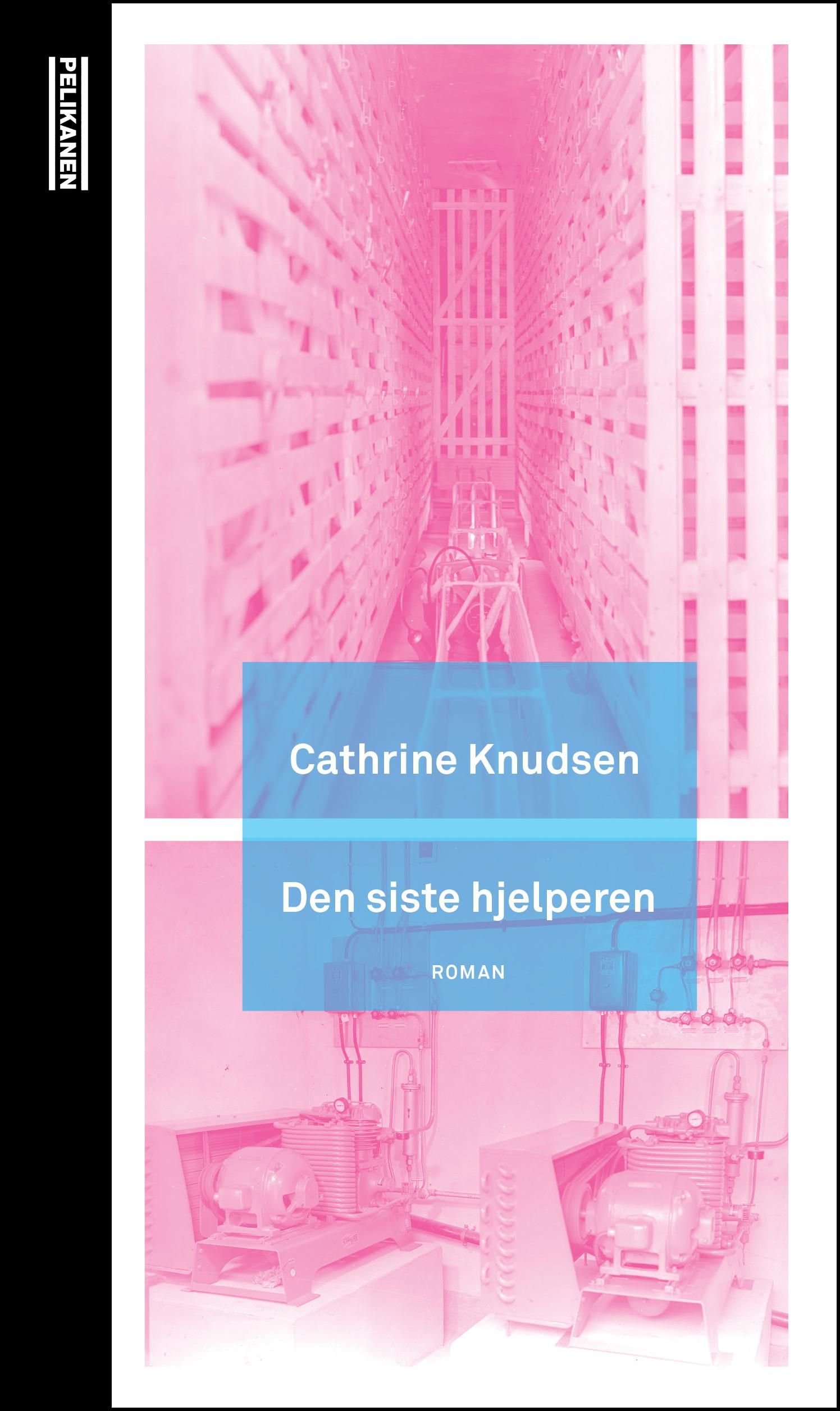 Den siste hjelperen - roman