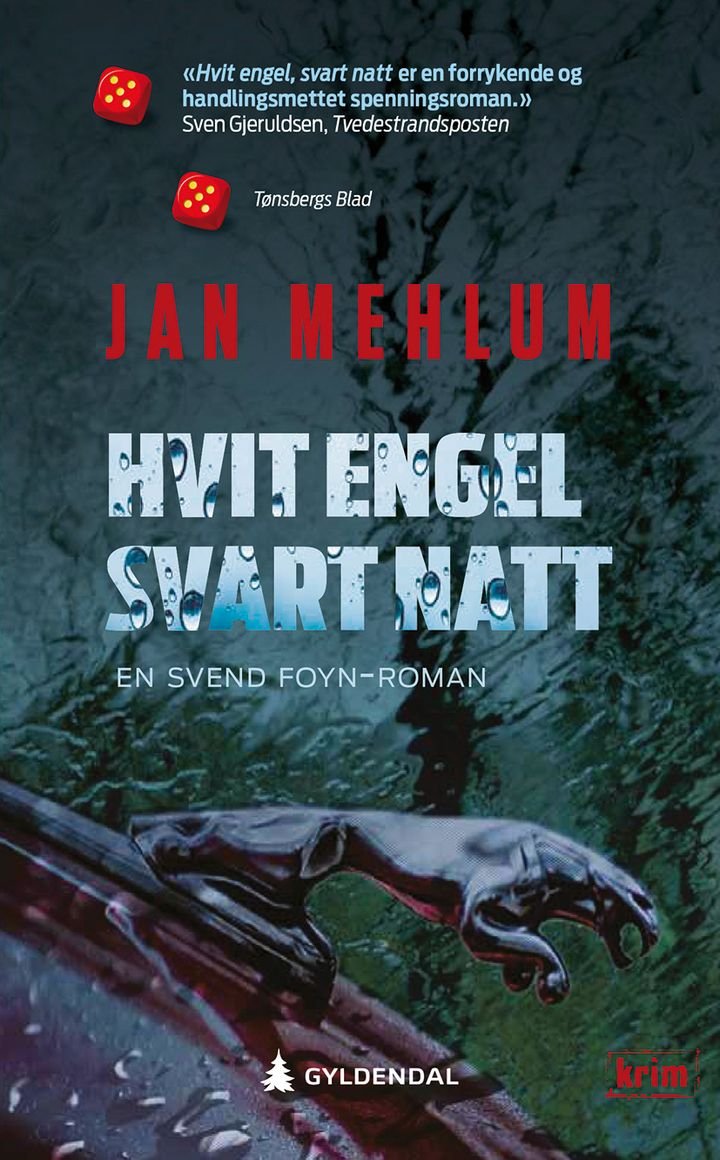 Hvit engel, svart natt - kriminalroman