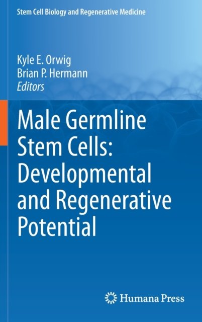 Male Germline Stem Cells: Developmental and Regenerative Potential
