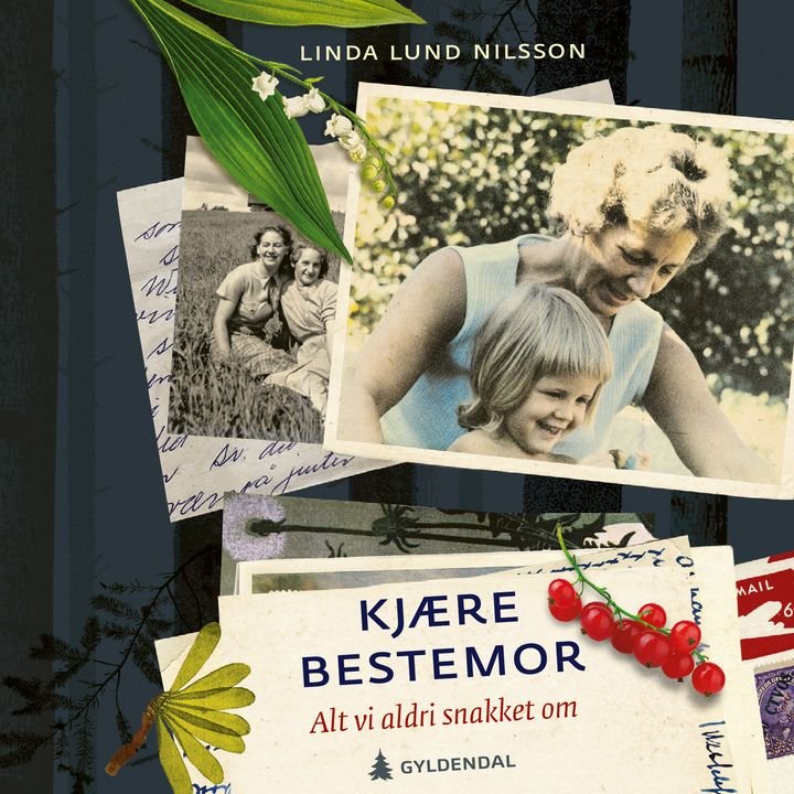 Kjære bestemor - alt vi aldri snakket om
