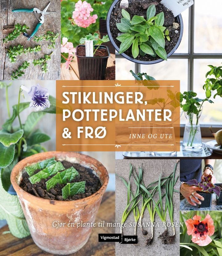 Stiklinger, potteplanter og frø - inne og ute