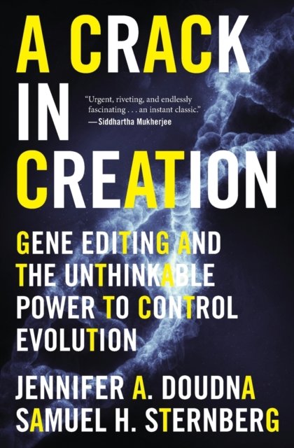 Crack In Creation