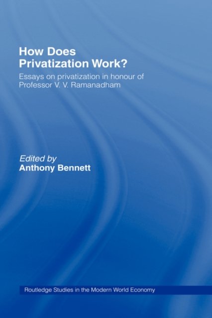 How Does Privatization Work?