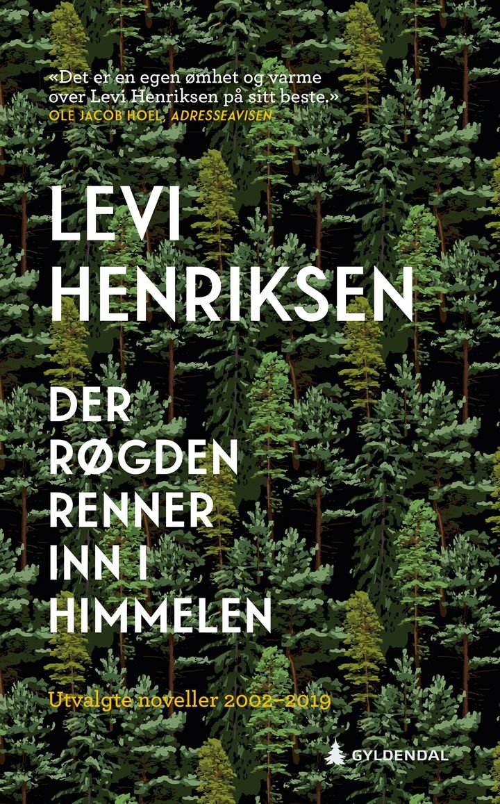 Der Røgden renner inn i himmelen - utvalgte noveller 2002--2019