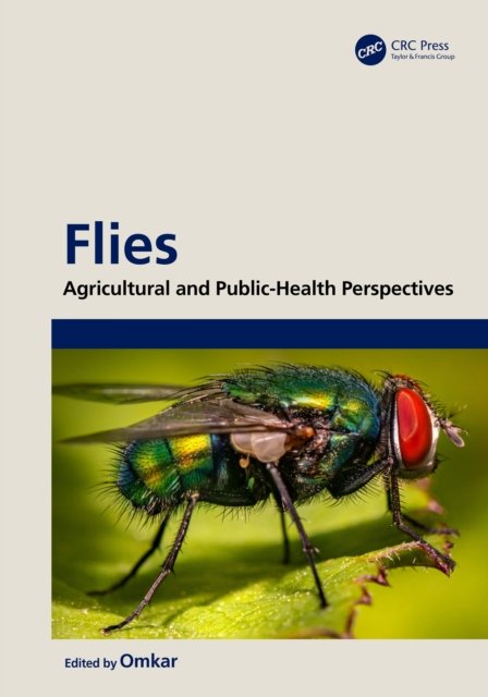 Flies