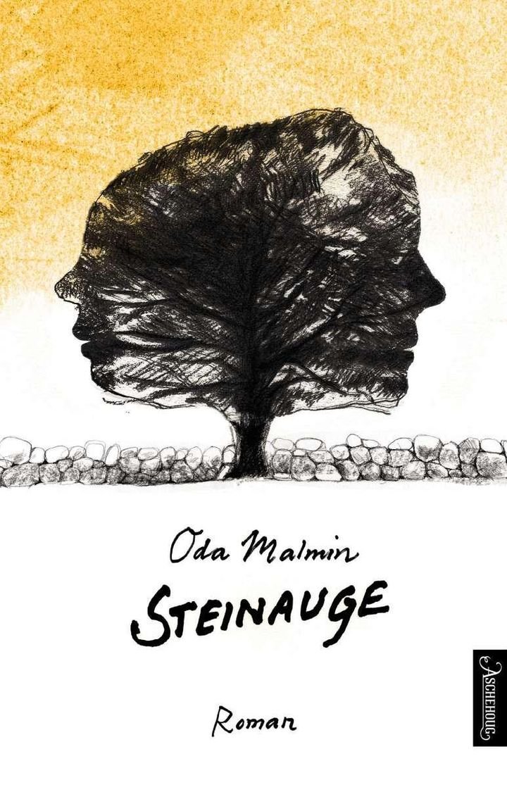 Steinauge - roman