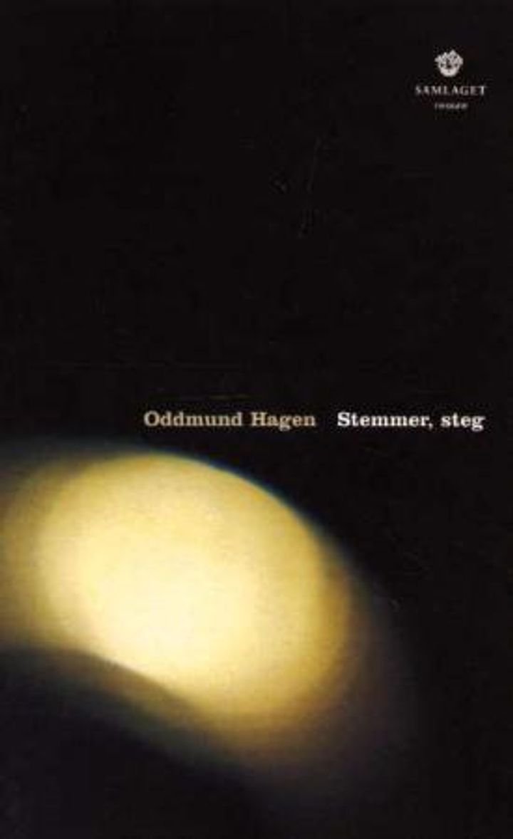 Stemmer, steg - ein drøm : roman