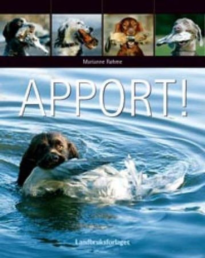 Apport!