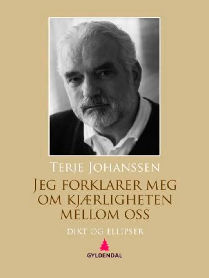 Jeg forklarer meg om kjærligheten mellom oss - dikt og ellipser