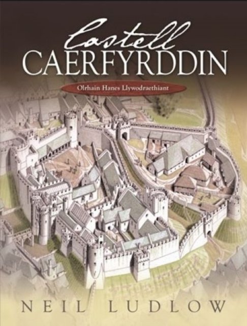 Castell Caerfyrddin - Olrhain Hanes Llywodraethiant