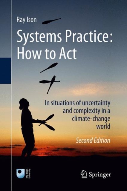 Systems Practice