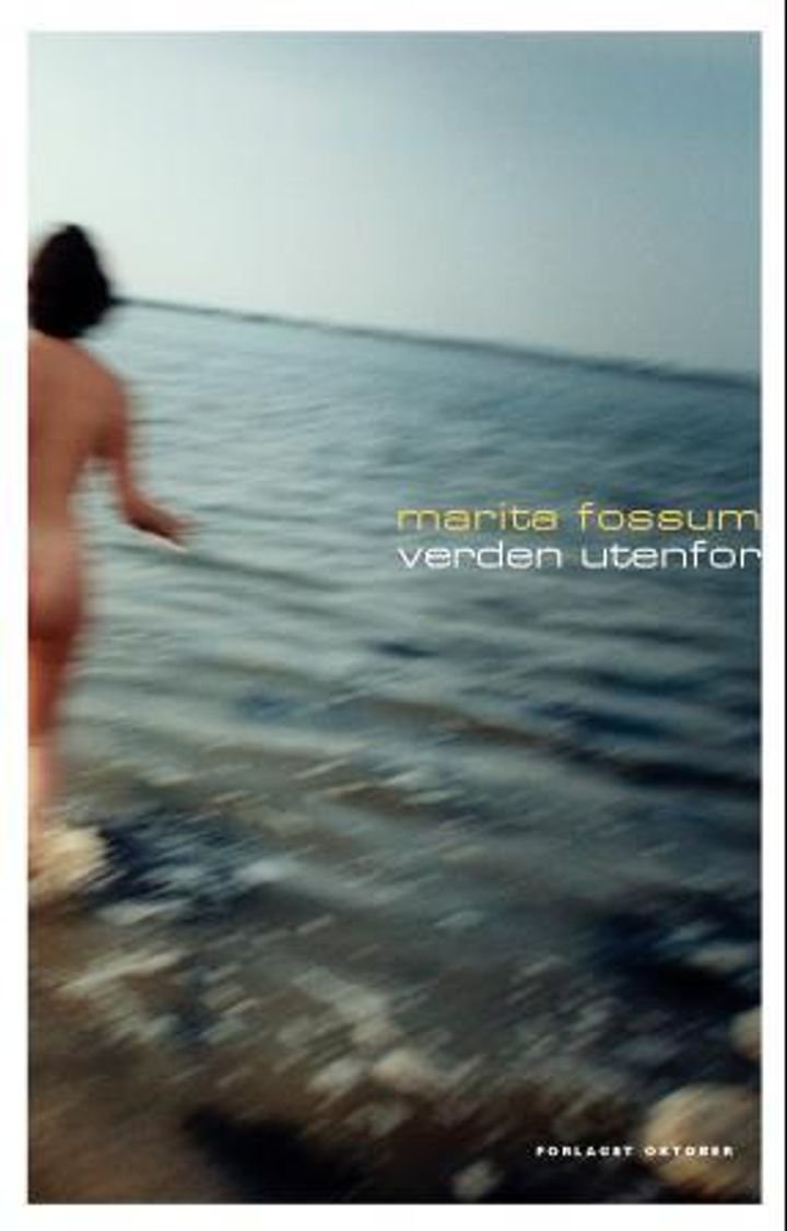 Verden utenfor - roman