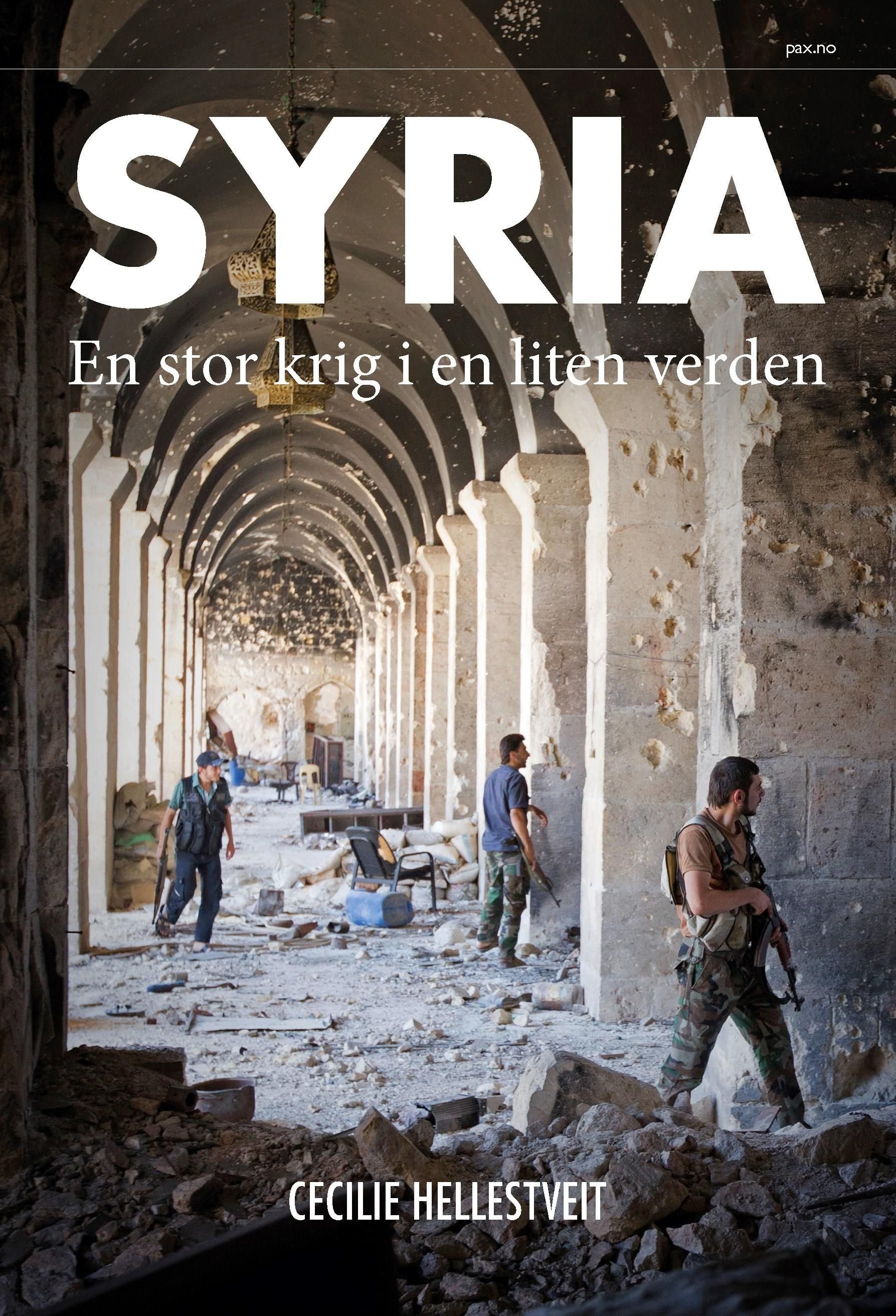 Syria - en stor krig i en liten verden