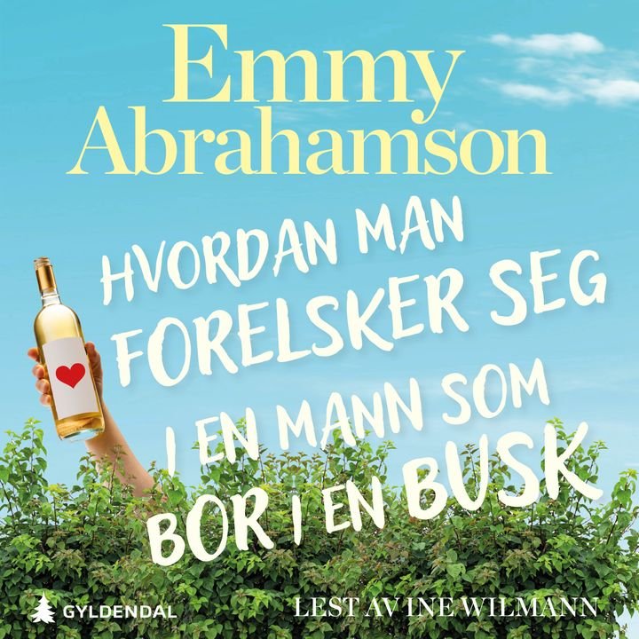 Hvordan man forelsker seg i en mann som bor i en busk - roman