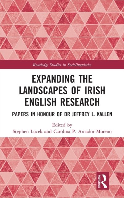 Expanding the Landscapes of Irish English Research